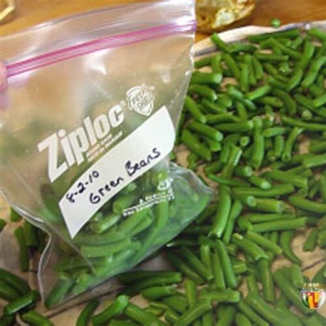 Freezing Green Beans instead of canning leaves a little crunch!