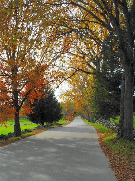 Scenic Country Road - New England