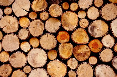 Wood Logs Wallpapers - Wallpaper Cave